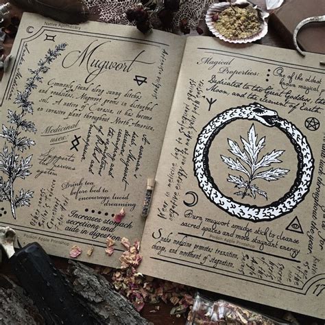 The Herbalist's Spellbook: A Collection of Enchanted Herbal Preparations